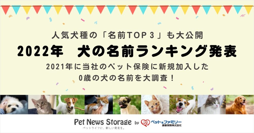 ペット＆ファミリー損保の保険についてのリリース／ペットニュースストレージ「2022年 犬の名前ランキング」を発表。2021年にペット保険に新規加入した0歳の犬の名前を大調査！